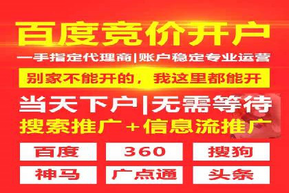 某品牌SEM广告投放的ROI提升案例